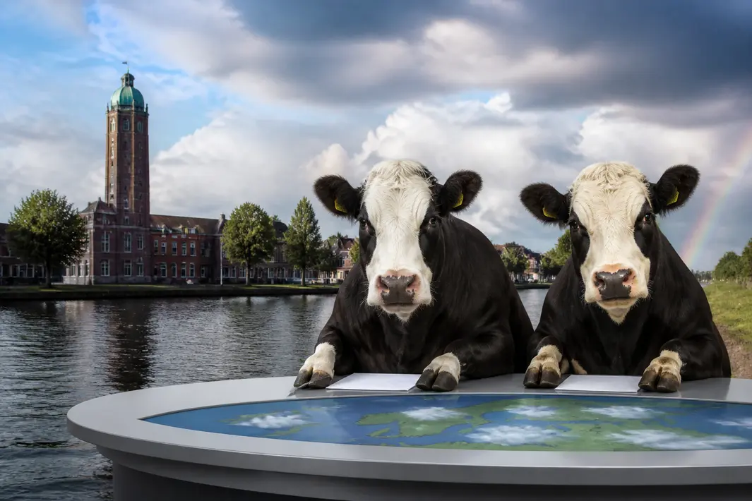 Commentaar op het nieuws door Blaarkoppen in Stadskanaal