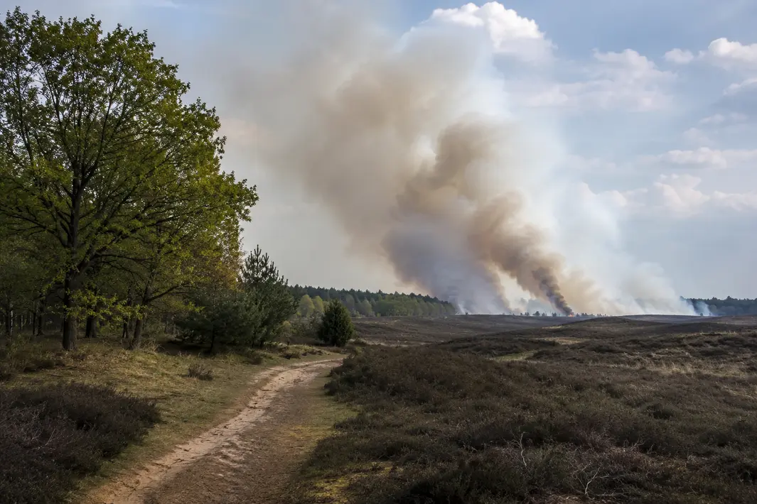 Natuurbrand gemeld in Noordlaren tijdens Tweede Pinksterdag