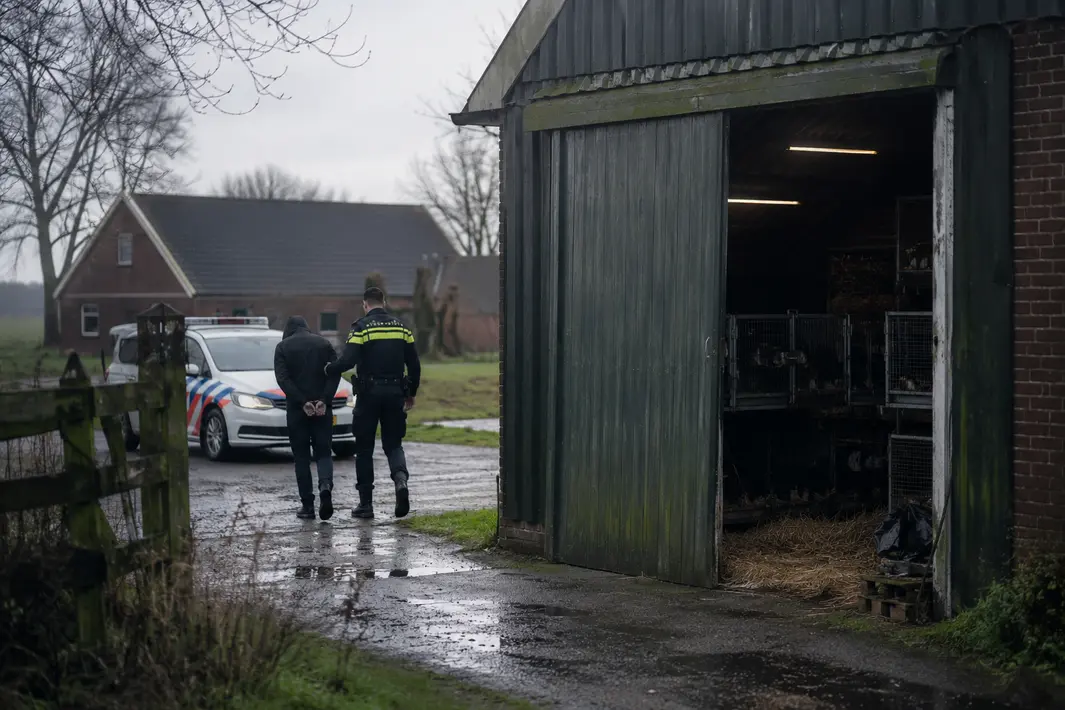 Veertig dode dieren gevonden in schuur in Winschoten, verdachte aangehouden